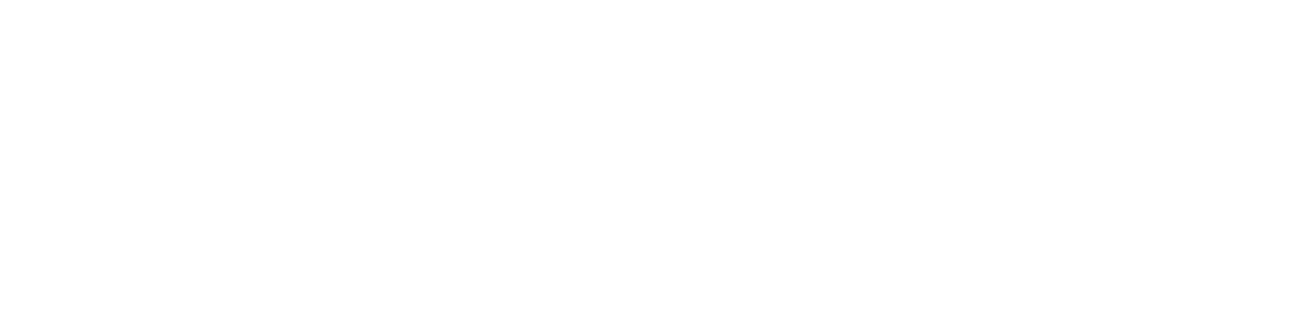 Ferro 7