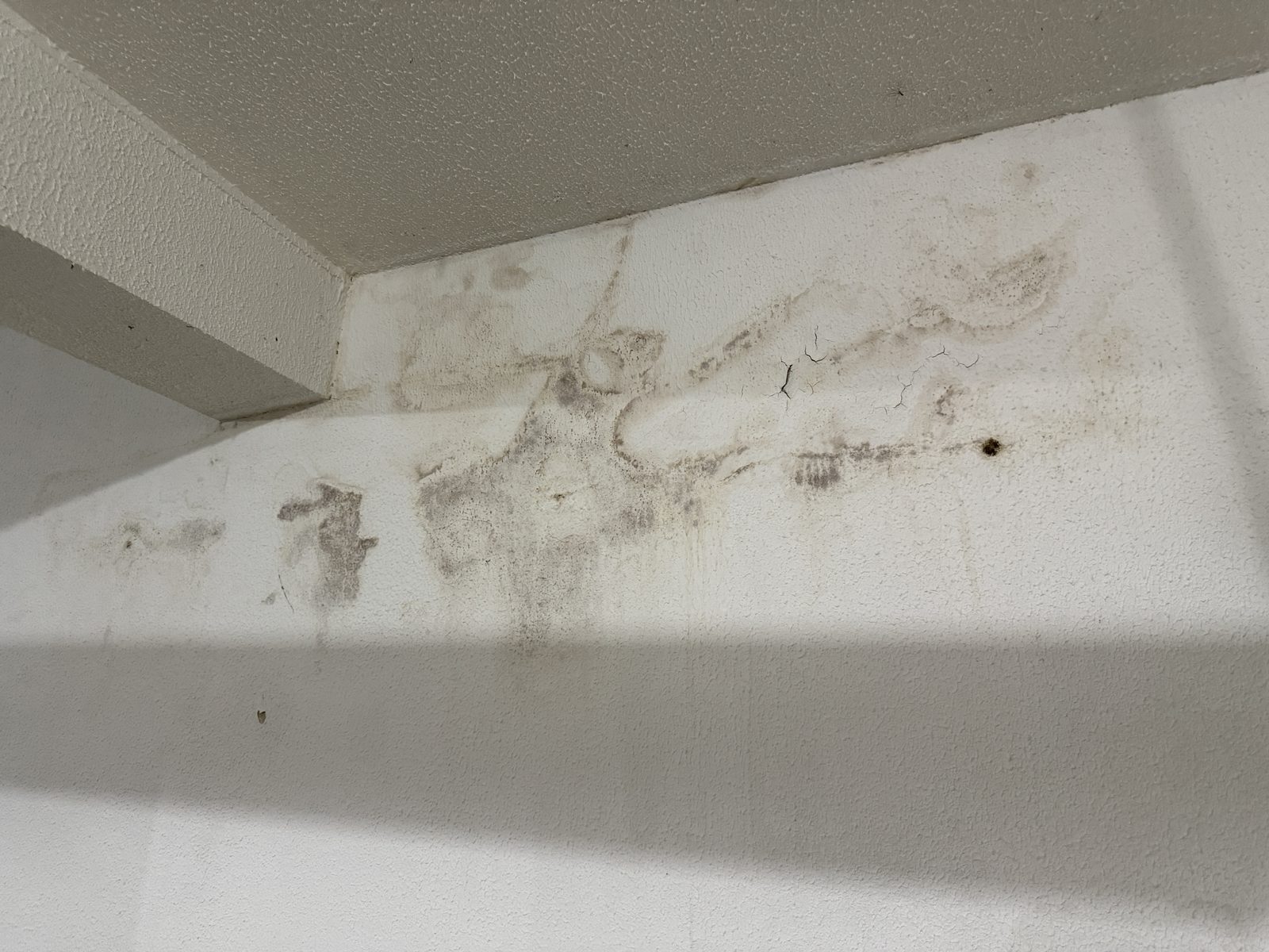 Manchas de umidade e destacamento de revestimento em parede interna
