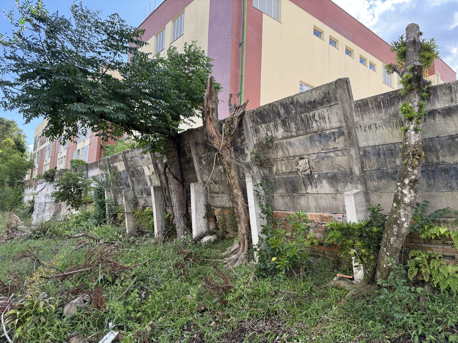 Muro de im&oacute;vel vizinho apresentando desaprumo, registrado em vistoria cautelar de vizinhan&ccedil;a
